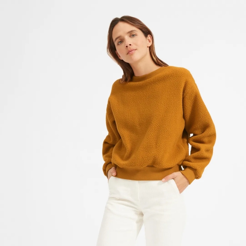 NWT Everlane Renew Fleece Jumper.